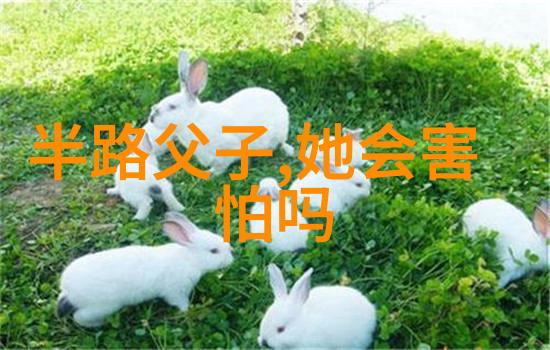 夫妻相处攻略夫妻如何相处才能美满